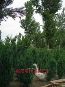 立體循環(huán)經(jīng)濟