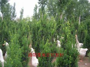 立體循環(huán)經(jīng)濟